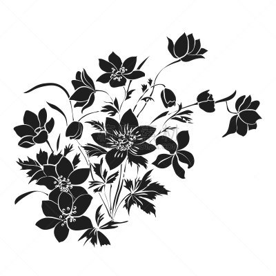 花束,春天,白色背景,装饰物,植物,夏天,草图,花,剪影