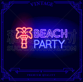 海滩,霓虹灯标志,光亮,夜总会,品牌名称,户外,夏天,发光二级管,剪影