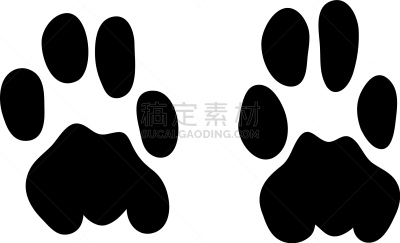 脚印,美洲豹,可爱的,脉搏图,野生动物,猎豹,狮子,动物,品牌名称,剪影