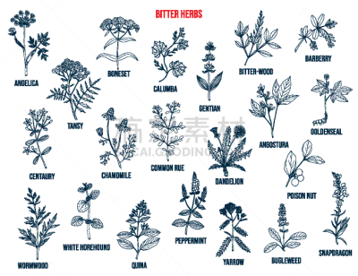 bitter herbs collection