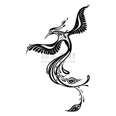 自然美,孔雀,热带鸟,摆拍,华贵,翅膀,动物,鸟类,装饰物,问候
