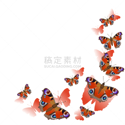 孔雀铗蝶,角度,边框,华丽的,数码图形,动物,春天,装饰物,做,复古