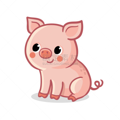 可爱的,猪,绘画插图,矢量,白色背景,牲畜,农业,传统,食品,哺乳纲