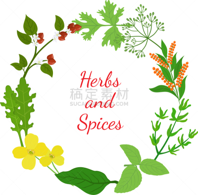 罗勒,香料,芥末,芝麻菜,绿色,饮食,自然,图像,矢量,分离着色
