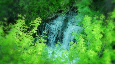 野生神秘瀑布-高清慢动作中的柔和变焦