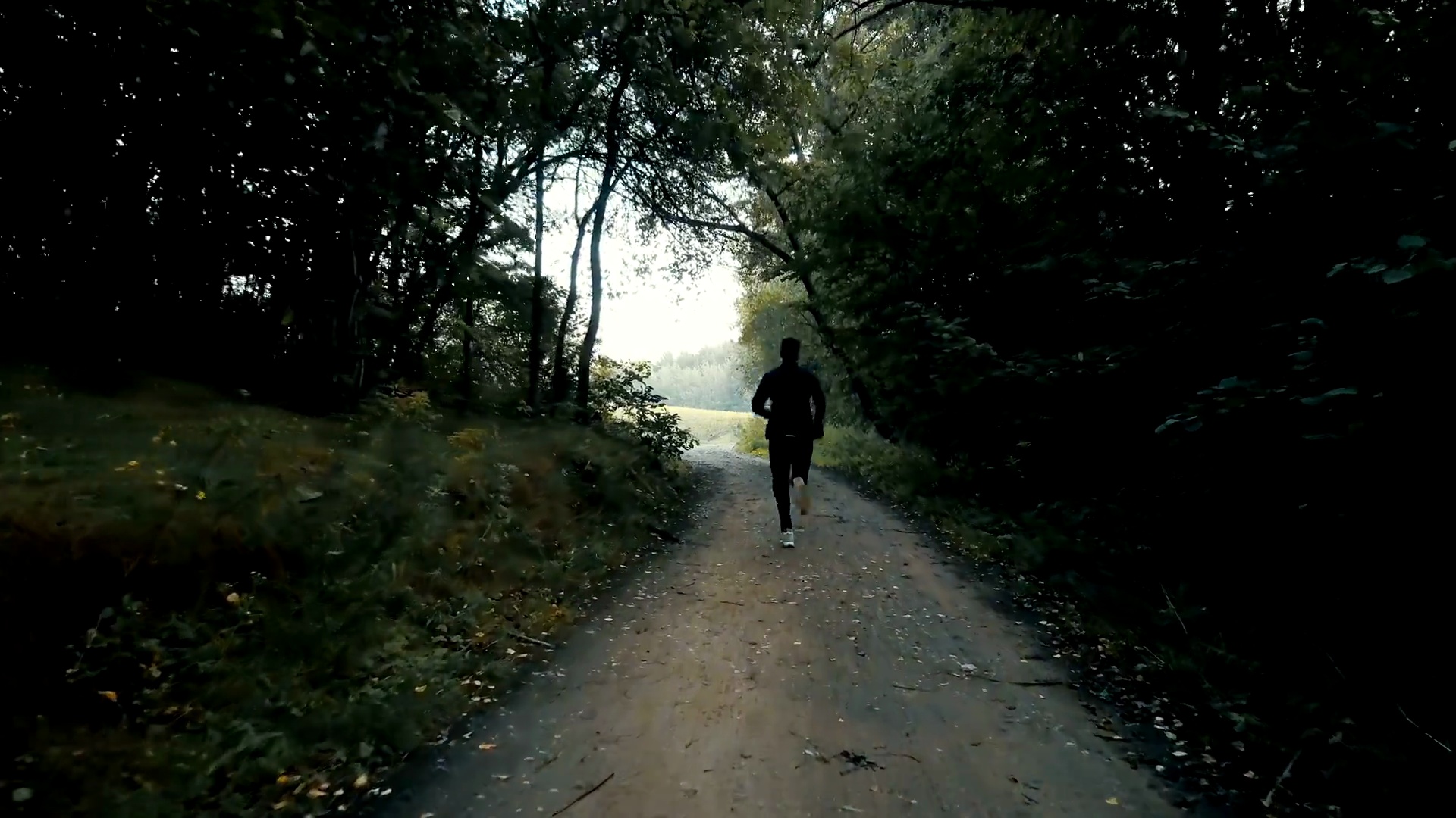 运动员在黑暗的秋天森林道路上奔跑。年轻的运动员在安静的秋天荒废通行证。电影无人机背视图