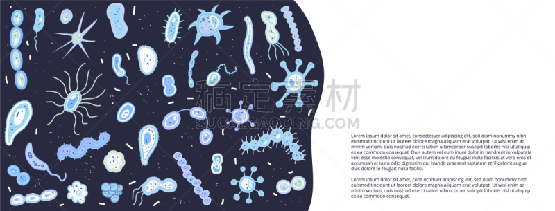 细菌,藻青菌,生物学,酸,传媒,健康保健,一个物体,构图,问候