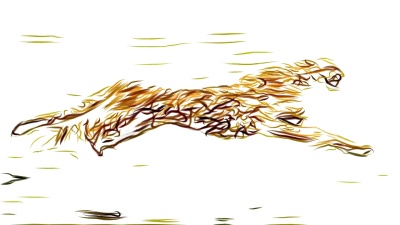 猎豹跑铅笔画卡通动画无缝无休止的循环新品质独特的手工制作动感欢快的彩色视频动物猫镜头