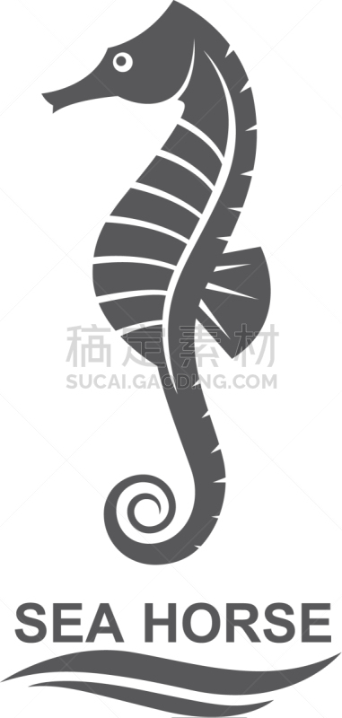 海马,分离着色,生物学,自然,海产,海洋,船,动物,装饰