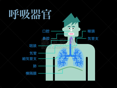 简单,绘画插图,日本,呼吸系统,黑色背景,部分,品牌名称,生物学,鼻腔