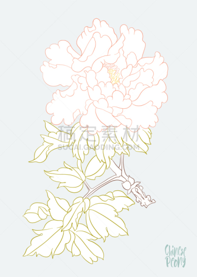 牡丹,枝,传统,韩国,蜡染风格,夏天,日本,花,写实