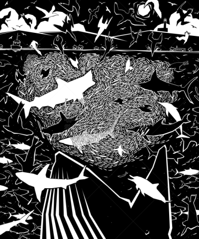 动物狂吃,自然,海洋生命,饥饿的,野生动物,图像,鲔鱼,海洋,鲣鸟,鲸