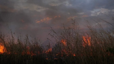 夜里燃烧田野的草。