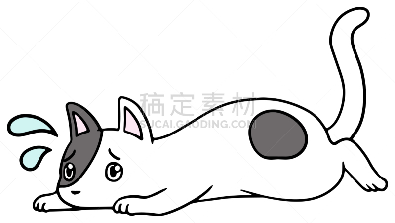 矢量,绘画插图,猫,惊骇,十二生肖,恐怖,简单,动物,宠物商店