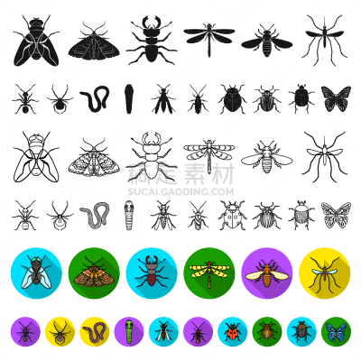 昆虫,计算机图标,舞台,平坦的,与众不同,毛虫,甲虫,小的,蚂蚁,蚊子