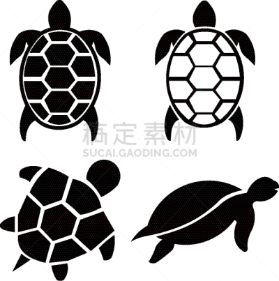 动物,标志,计算机图标,平坦的,龟,充满的,固体,分离着色,可爱的,自然
