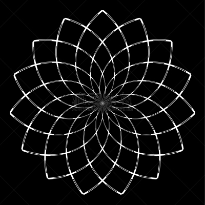 几何形状,设计元素,华丽的,鞋带,现代,装饰物,莲花,圆形,弯曲,花