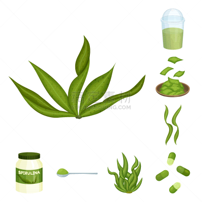 螺旋菌,海草,计算机图标,蔬菜,素食,健康保健,营养品,食品,维生素,成分