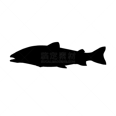 鲑鱼,农业,渔业,清新,食品,大西洋,动物,欧米茄,湖,剪影