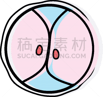 生物学,脱氧核糖核酸,胚胎,卵子,人,科学,生物科技,健康保健,分割