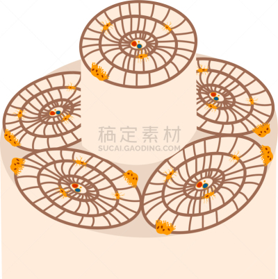 骨头,平衡折角灯,植物细胞,分离着色,白色,生物学,骨细胞,自然,健康保健,人