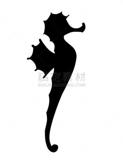 可爱的,绘画插图,卡通,海马,矢量,黑色,平坦的,分离着色,剪影,设计