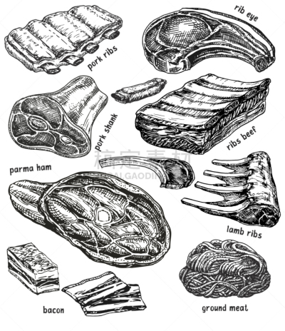 牛排,肉,生食,动物手,菜单,食品,成分,绘制,画画,烹调