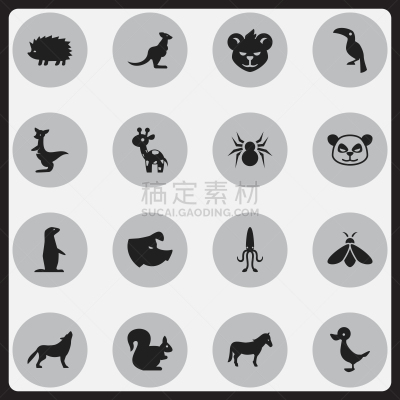自然,符号,怪异,野生动物,小马,植物群,哺乳纲,自然美,动物,蜘蛛网