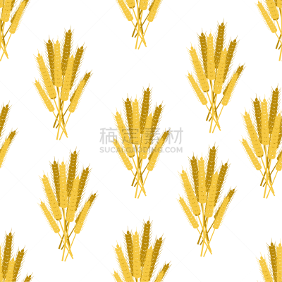 sheaves ears grain crops wheat rye