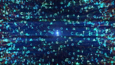 DNA测序TACG版本- 