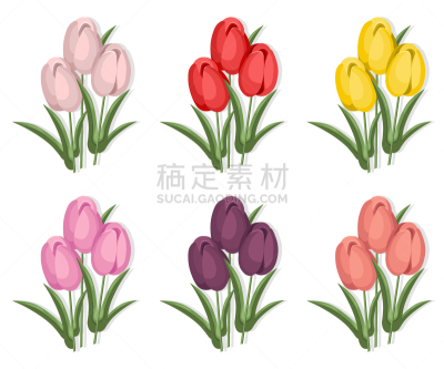郁金香,背景,分离着色,白色,白昼,自然,华丽的,复古,花,布置