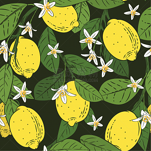 柠檬,枝,绿色,四方连续纹样,纺织品,食品,果汁,壁纸,春天,绘制
