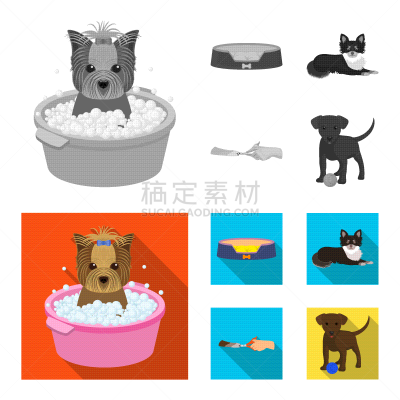 兽医,宠物,爪,垃圾,图像,矢量,分离着色,做手势,收集,教育