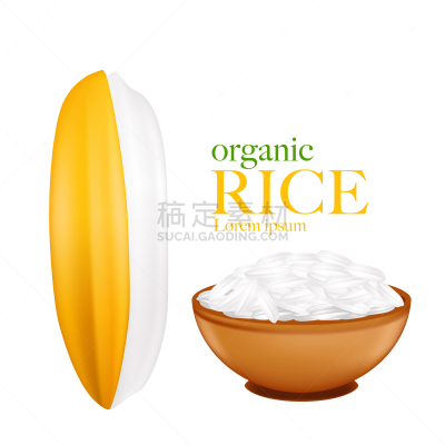 绘画插图,稻,矢量,泰国文化,分离着色,农业,传统,自然界的状态,碳水化合物,面包