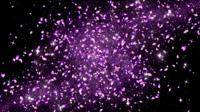樱花的花瓣