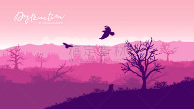 沙漠,平视角,环境,天气,自然美,植物,复古,剪影