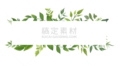 绿色,植物群,草本,叶子,蕨类,贺卡,式样,清新,高雅,脆弱