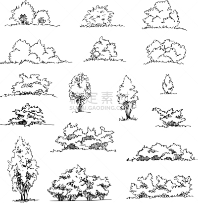 草图,灌木,建筑师,动物手,摆拍,植物群,公园,绘制,布置,画画