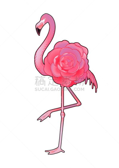 可爱的,插画,火烈鸟,分离着色,轮廓,传统,非洲,粉色,紫色,设计