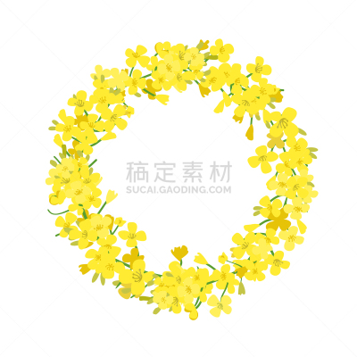 贺卡,黄色,油菜花,芸苔,矢量,花朵,花环,王冠,油菜科,花
