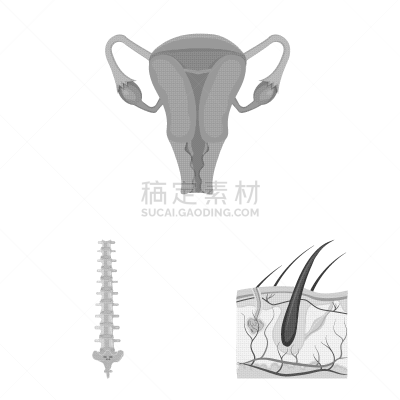 人,品牌名称,人类的生殖器官,卵巢,头皮,头发,收集,设计