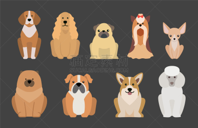 面包,狗,性格,卡通,幽默,可爱的,纯种犬,梗犬,牧羊犬,巴哥犬