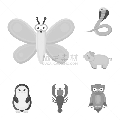 完美,动物,舞台,计算机图标,平衡折角灯,单色调,夜晚,自然,宠物,收集