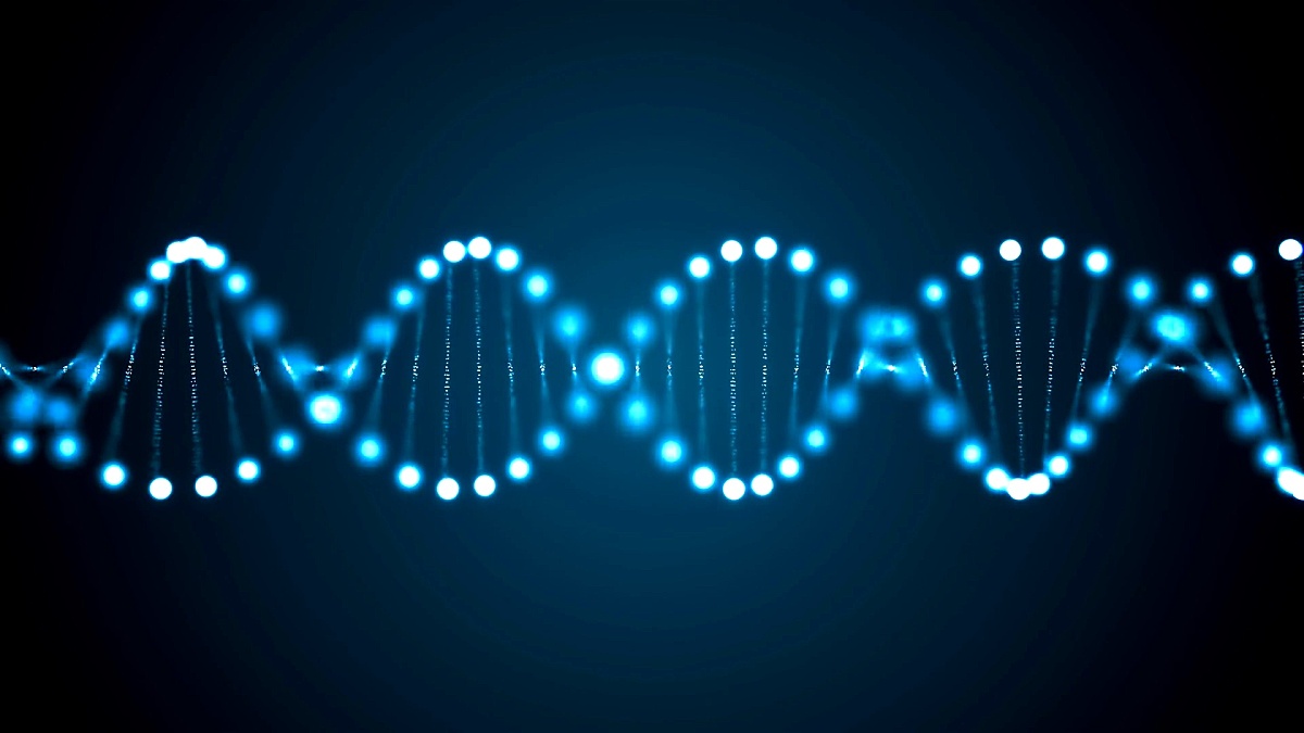 旋转DNA发光分子的3D渲染动画。遗传学概念。