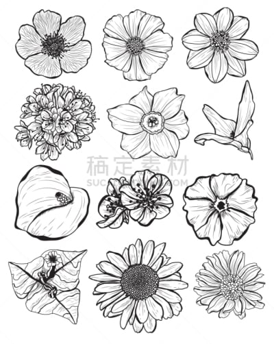 动物手,请柬,事件,周年纪念,植物群,婚礼,绘制,插花,问候,排列