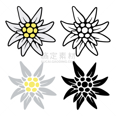 传统,简单,绘画插图,互联网,符号,计算机图标,火绒草,矢量,布置