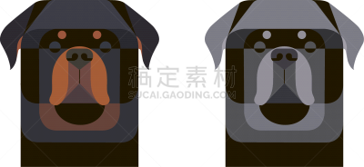 几何形状,肖像,罗威纳犬,灰发,宠物,自然,三角形,信心,图像,狗