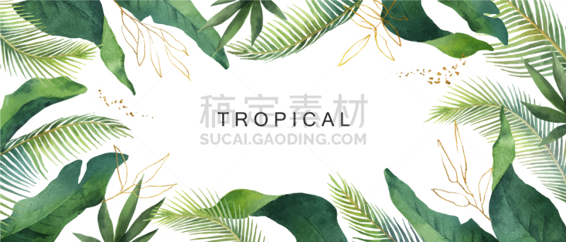 水彩画,分离着色,鸡尾酒,叶子,植物,壁纸,婚礼,华丽的,花
