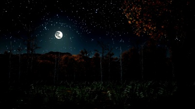 阴霾夜闹鬼秋林