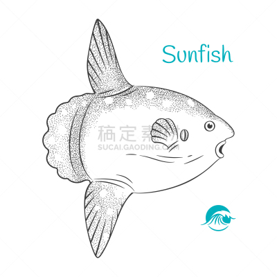 翻车鱼,动物手,可爱的,菜单,食品,动物,餐馆,水生动植物,绘制,烹调